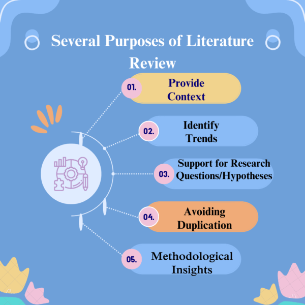 literature review