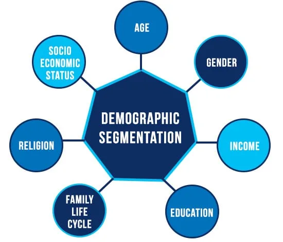 DEMOGRAPHIC SEGMENTATION