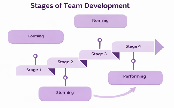Stages of team development model showing forming, storming, norming, performing and adjourning by Excellence Innovations