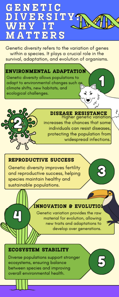 Genetic diversity advantages infographic showing environmental adaptation, disease resistance, reproductive success, evolution, and ecosystem health