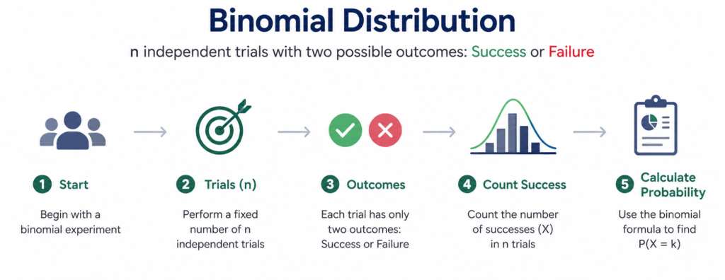 Binomial Probability Formula Visualization