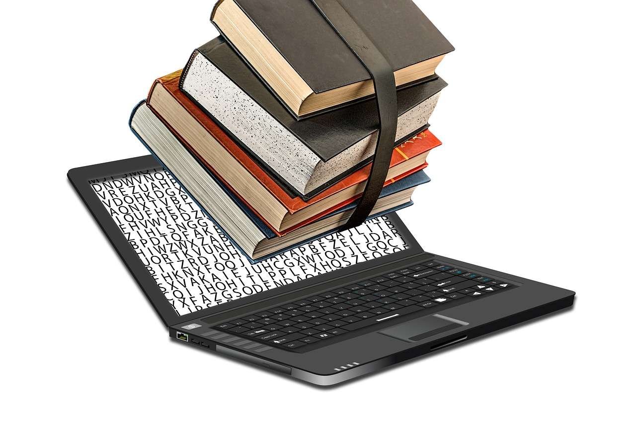 Experienced Subject Matter Experts