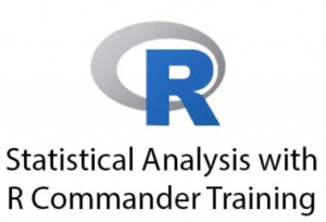 RStudio statistical programming software