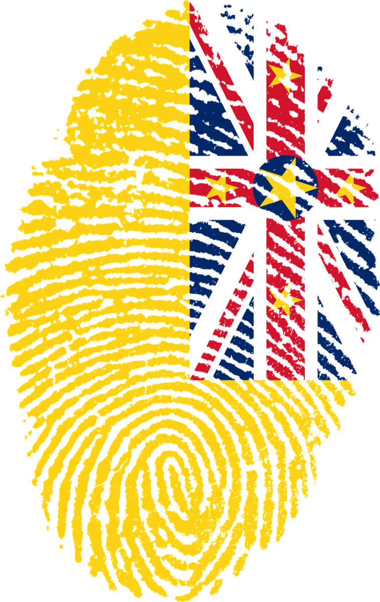 What is the KA02 Report for New Zealand Immigration?