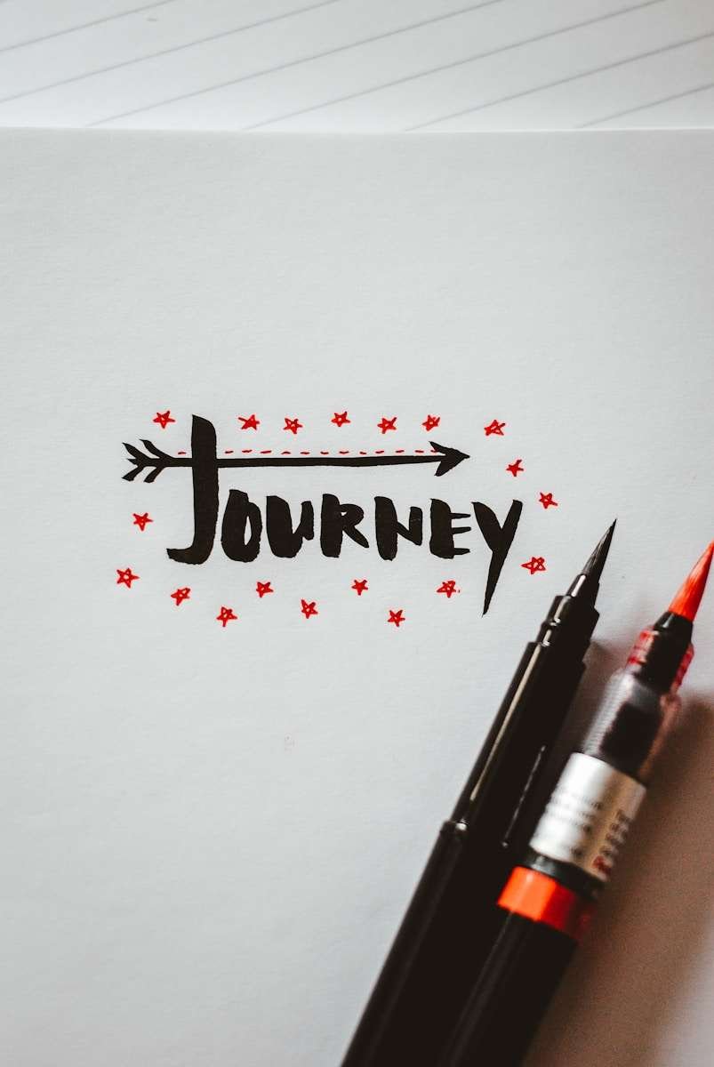 two black ballpoint pens